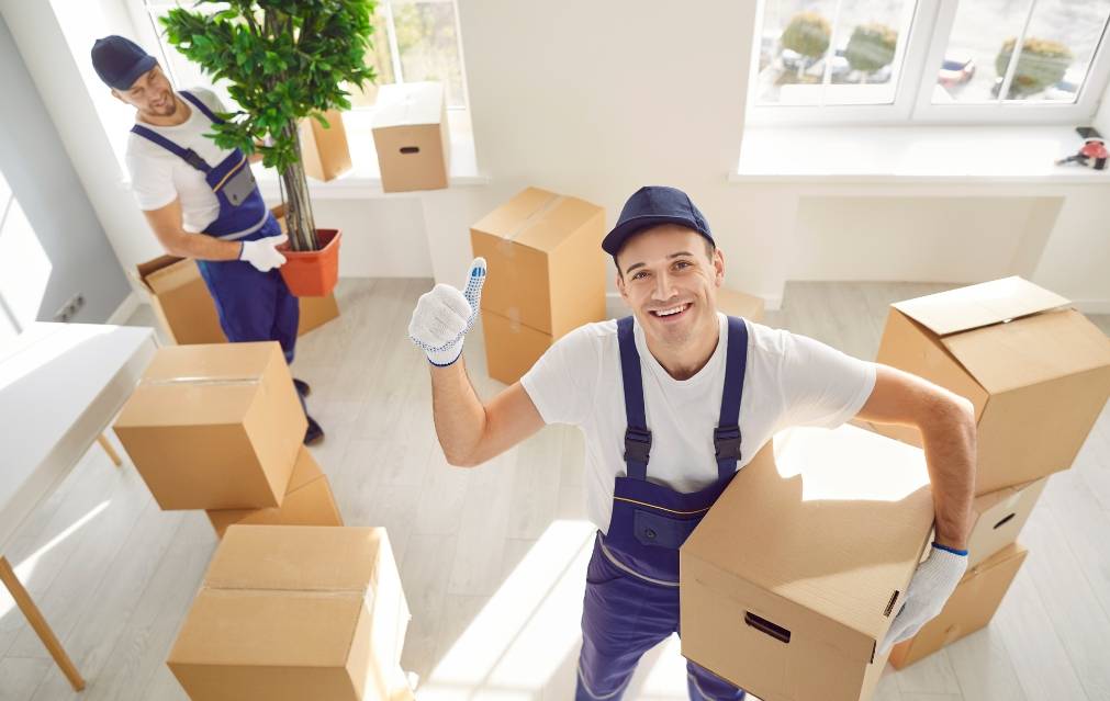 DelPick Packers and Movers