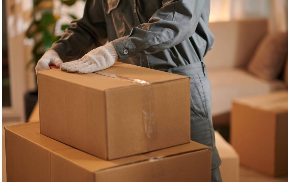 top packers and movers in Mohali