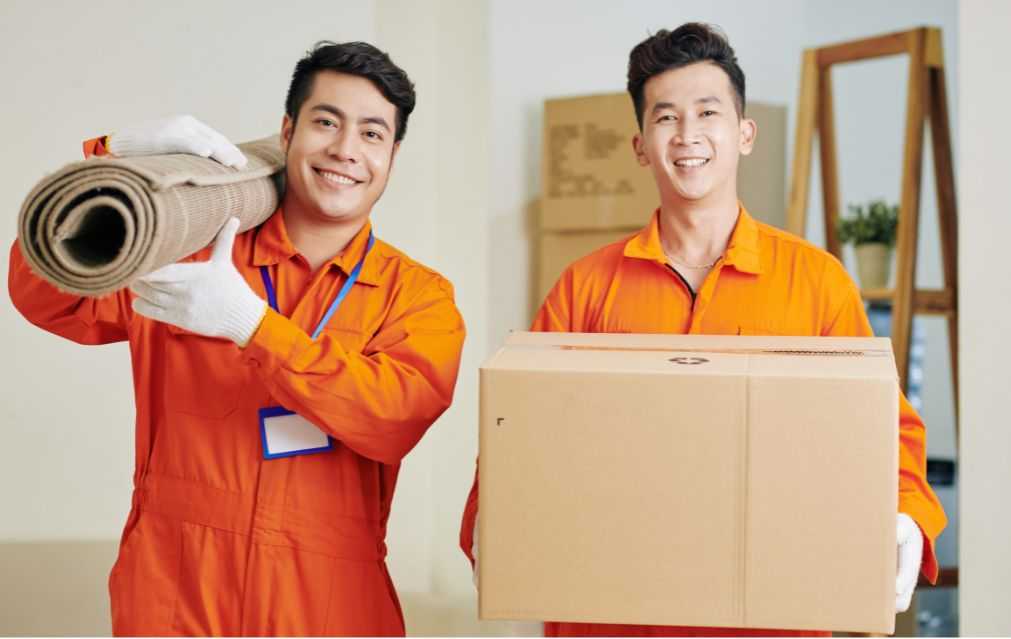 Office shifting with Delpick Packers in Panchkula